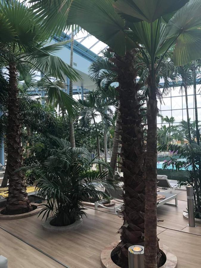 Grabska Osada Apartamenty - 100M Od Suntago Park-Domki Ogrzewane Caloroczne Mszczonów المظهر الخارجي الصورة